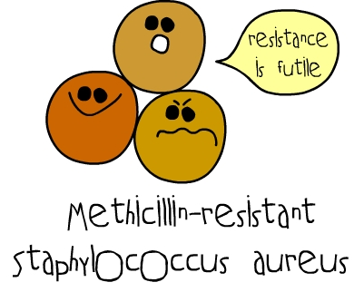 staph aureus #10