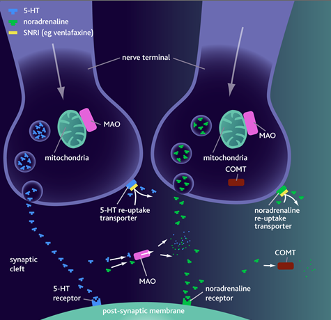 Haloperidol side effects